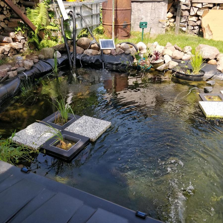Raben Steinfeld Gaestehaus Am Teich מראה חיצוני תמונה