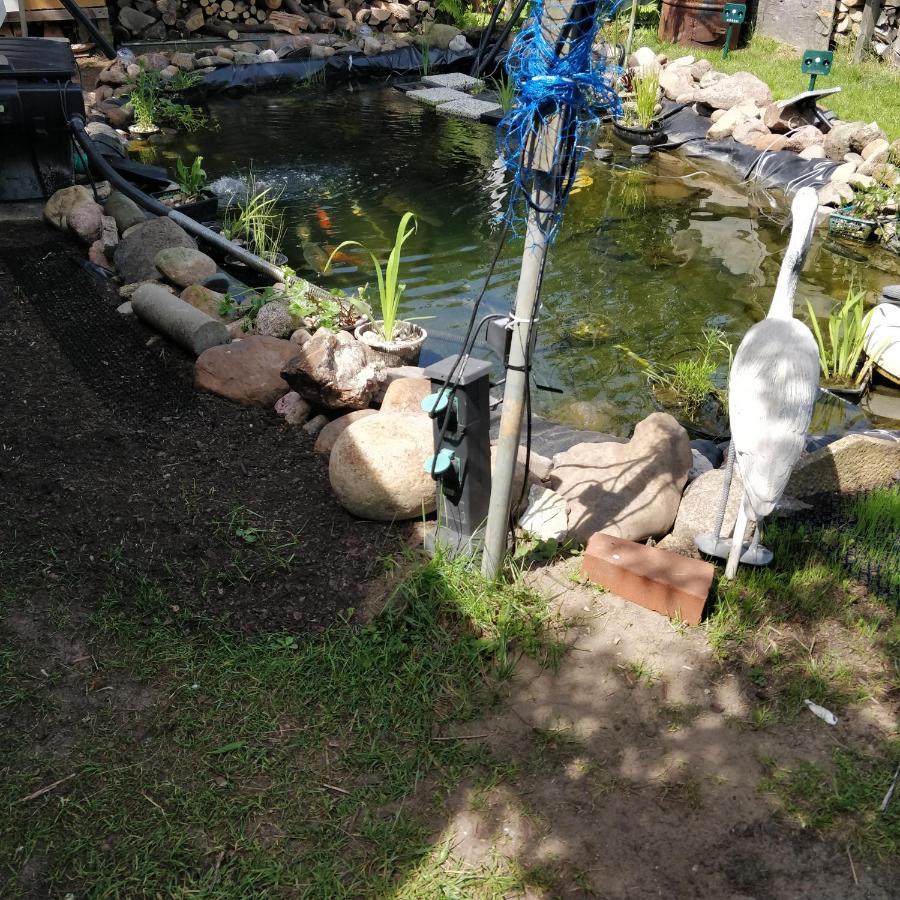 Raben Steinfeld Gaestehaus Am Teich מראה חיצוני תמונה
