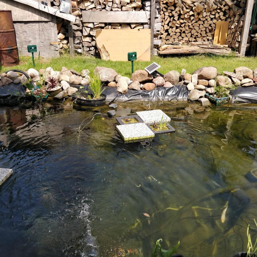 Raben Steinfeld Gaestehaus Am Teich מראה חיצוני תמונה